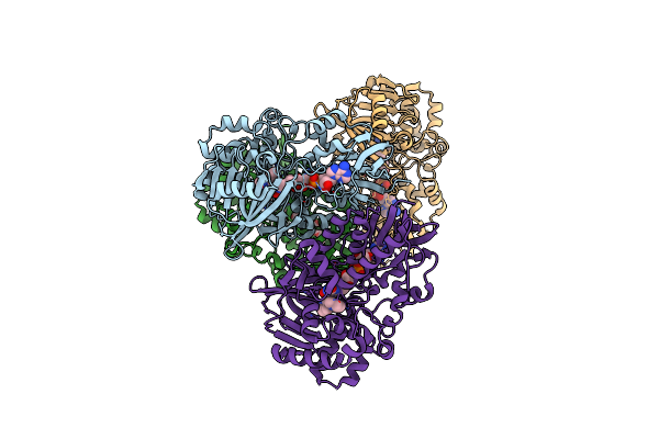 6C71 image