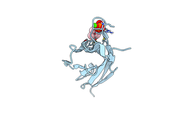 6C74 image