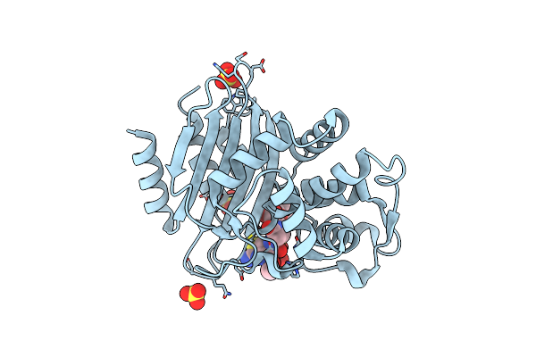 6C79 image