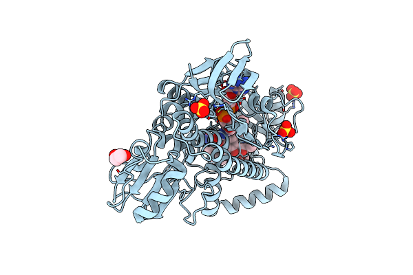 6C7S image