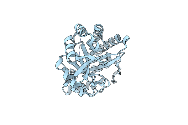 6C7T image