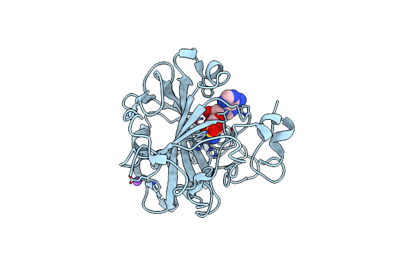 6C7W image