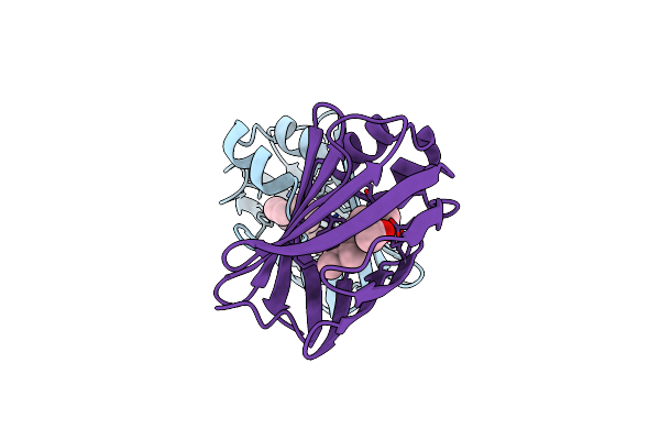 6C7Z image