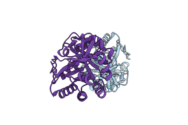 6C8B image
