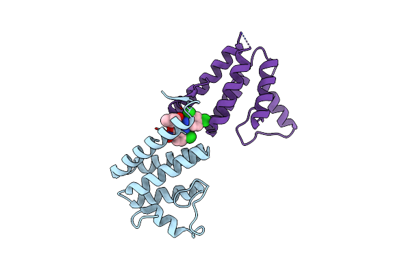 6C8C image