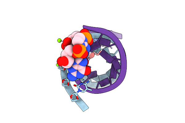 6C8L image