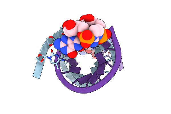 6C8M image