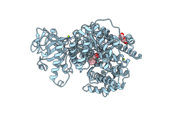 6C8P image