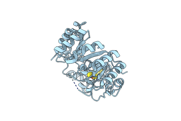 6C8V image