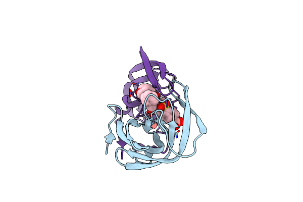 6C8Y image