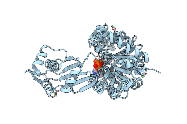 6C8Z image