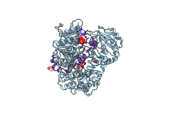 6C90 image