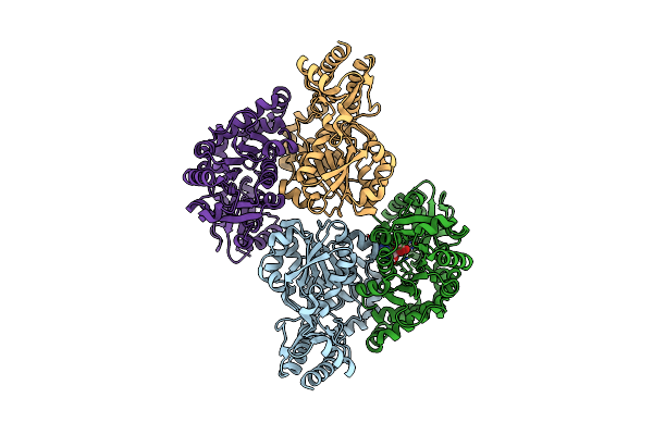 6C9B image