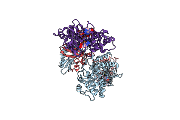 6C9H image