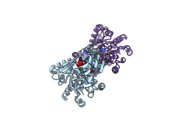 6C9N image