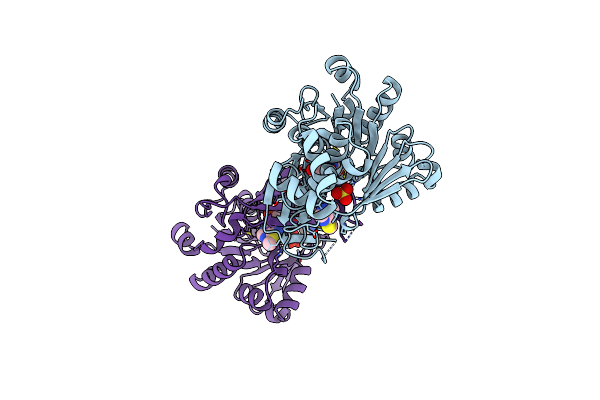 6C9P image