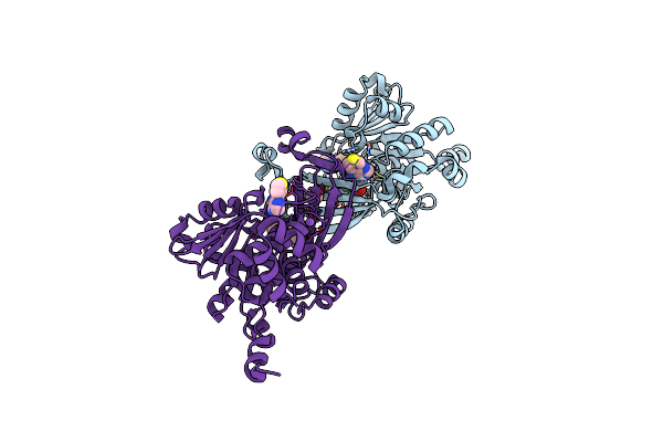 6C9R image