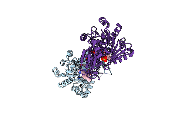 6C9S image