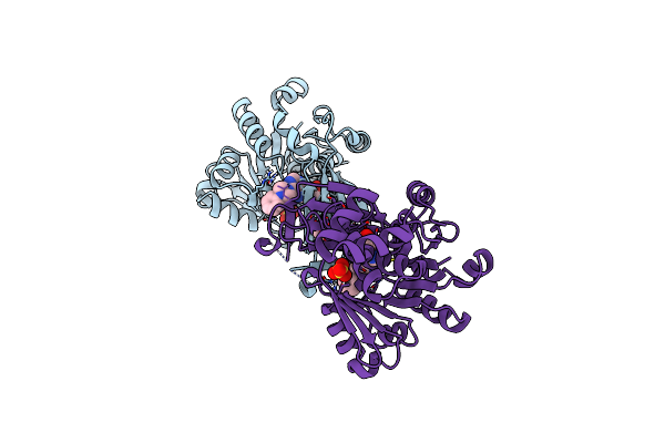 6C9V image