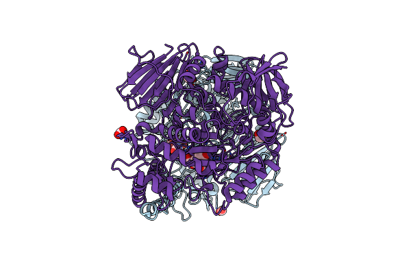 6C9X image