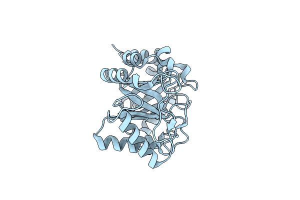 6CAF image