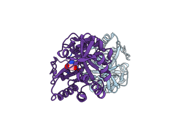 6CAI image