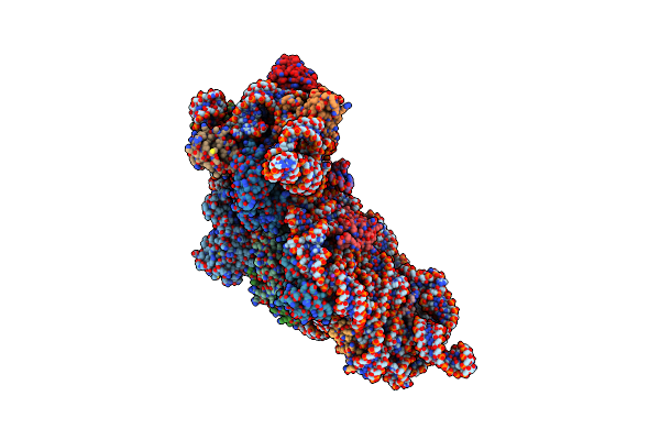 6CAO image