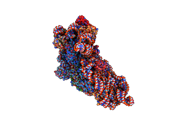 6CAS image