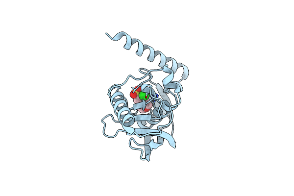 6CAZ image