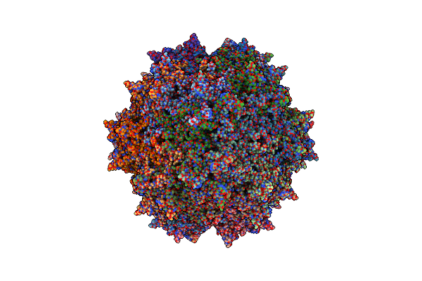 6CBE image