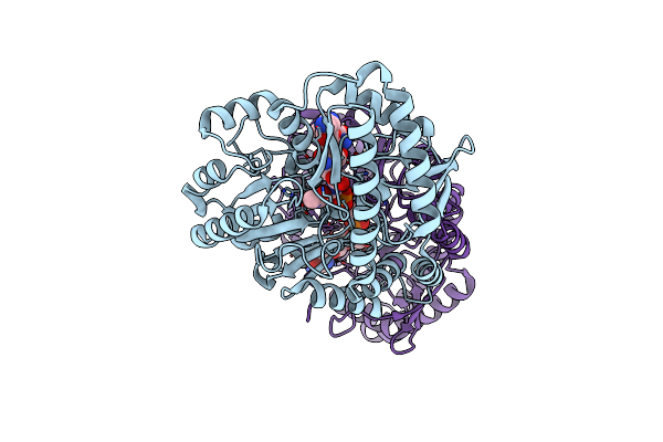 6CBN image