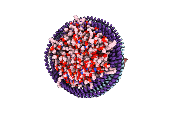 6CC9 image
