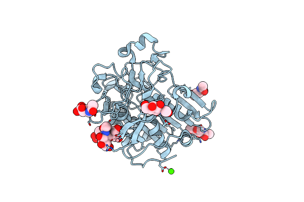 6CCI image