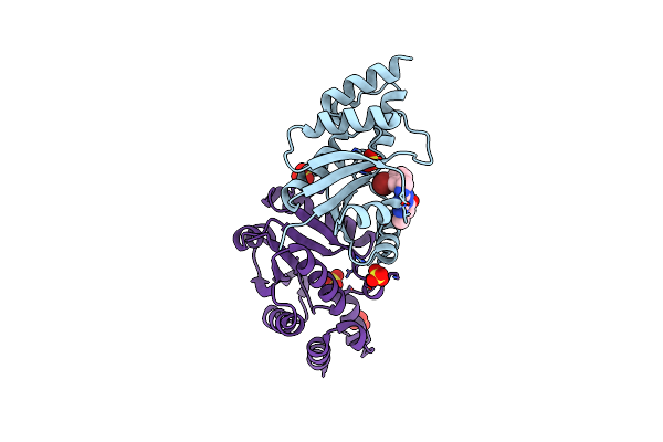 6CCM image