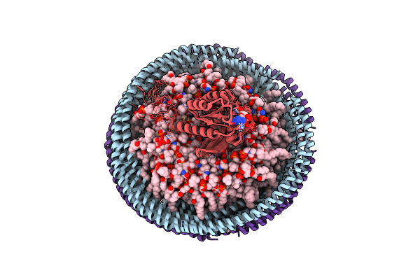 6CCX image