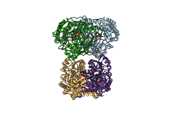 6CD0 image