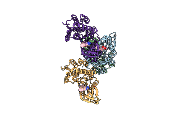 6CD6 image