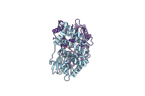 6CD7 image