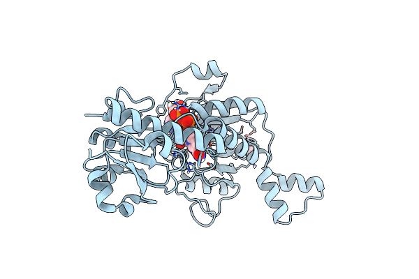 6CDF image