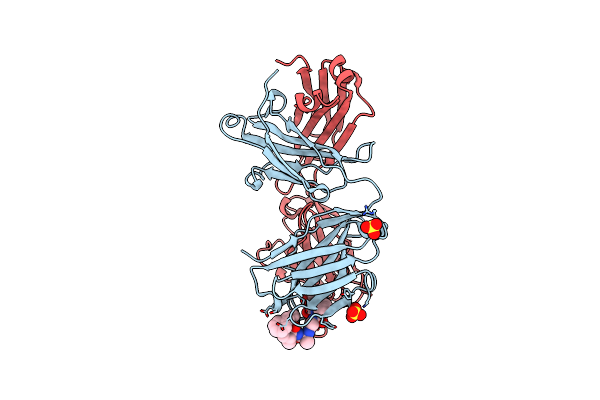 6CDP image