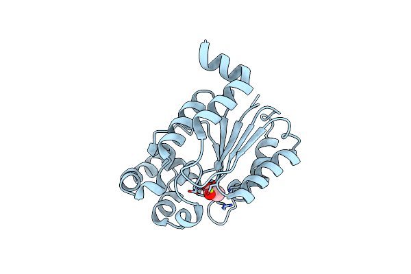 6CDW image