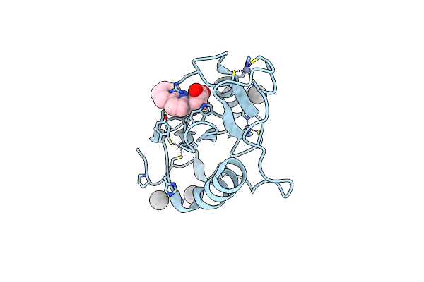 6CEA image