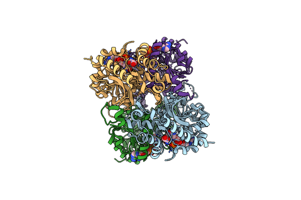 6CEP image