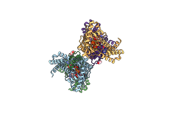 6CGG image