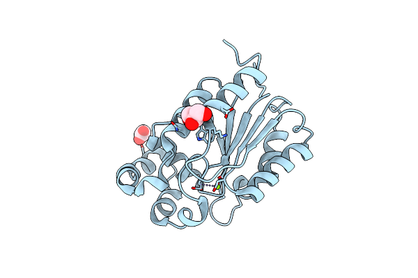 6CGJ image