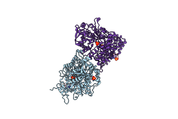 6CGL image
