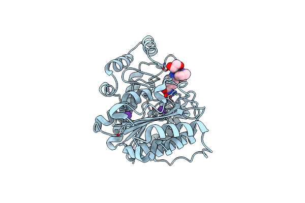6CGP image