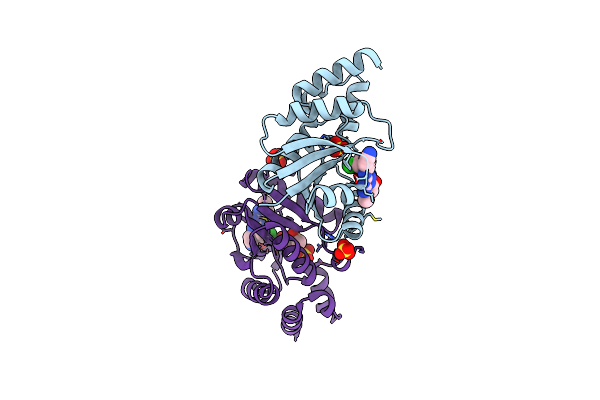 6CHL image