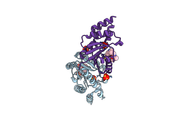 6CHM image