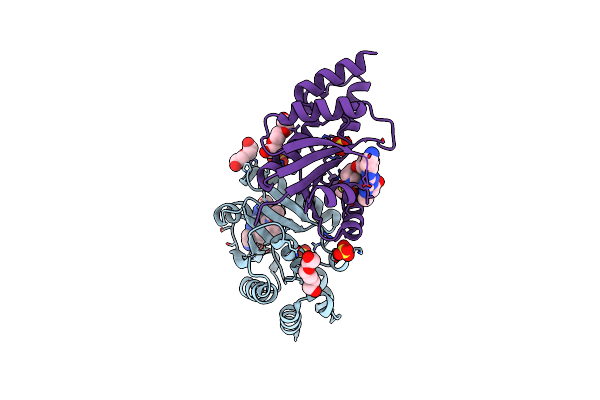 6CHN image
